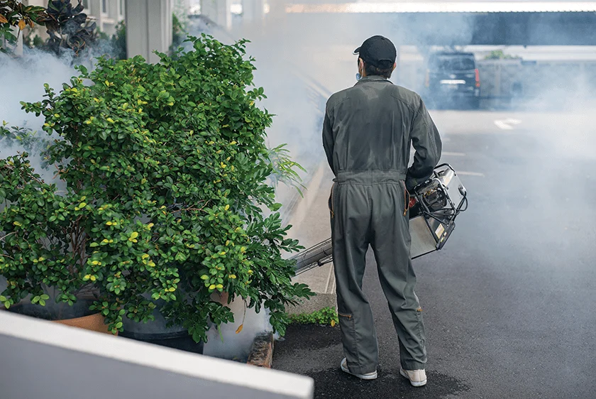 Safe Pest Gel Application